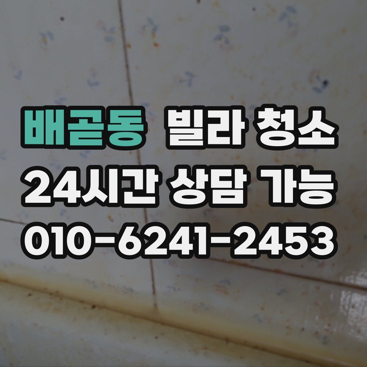 배곧동 빌라 청소