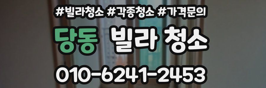 당동 빌라 청소