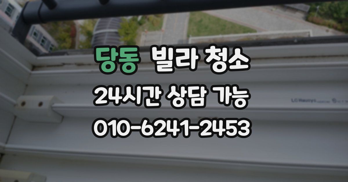 당동 빌라 청소