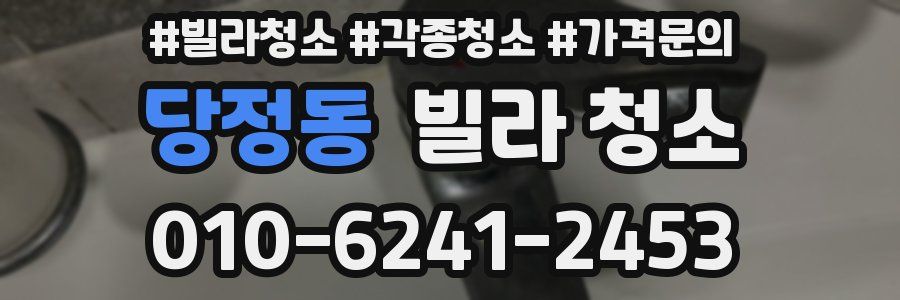 당정동 빌라 청소
