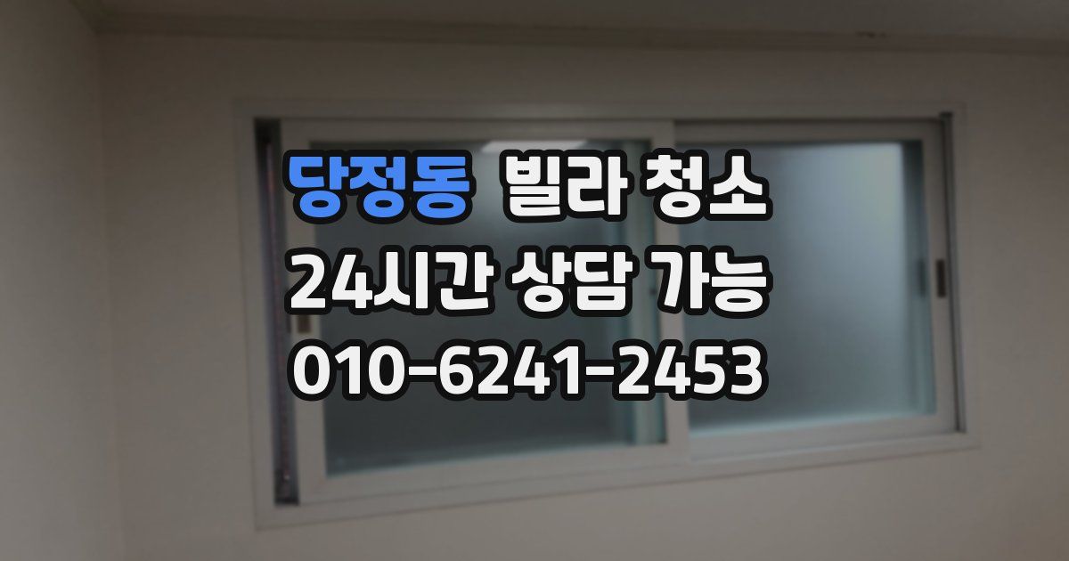 당정동 빌라 청소