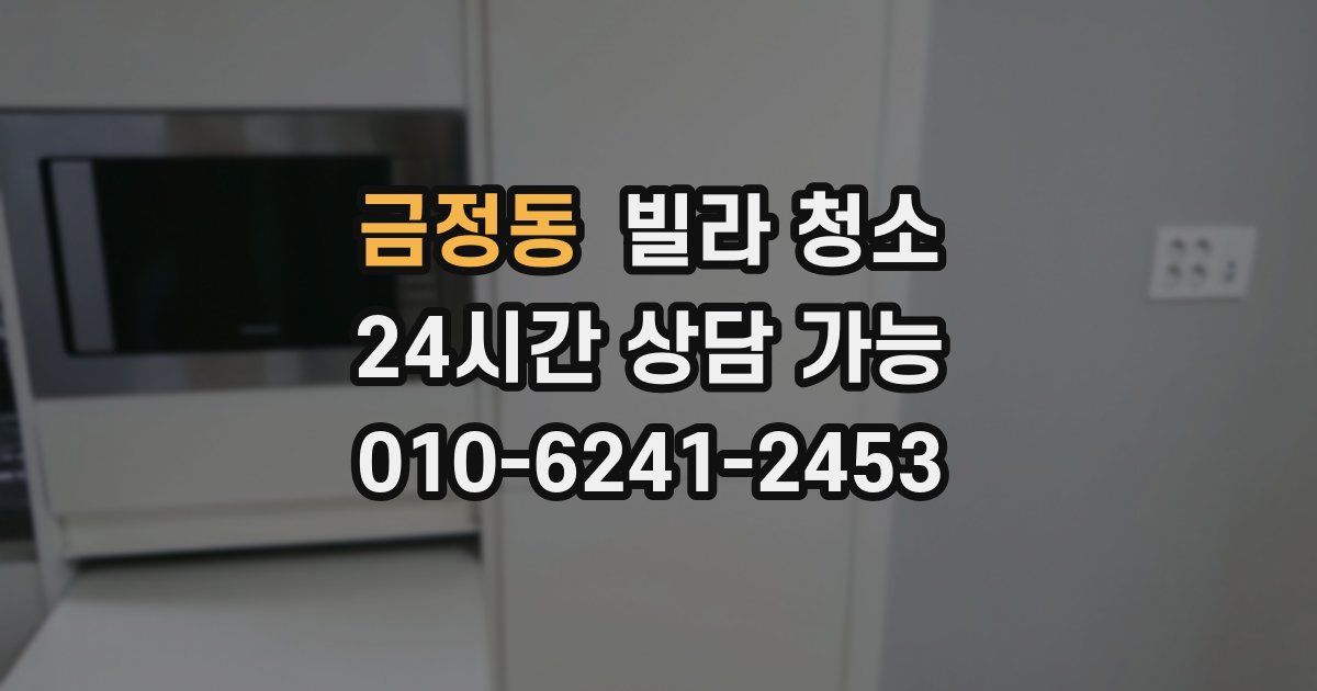 금정동 빌라 청소