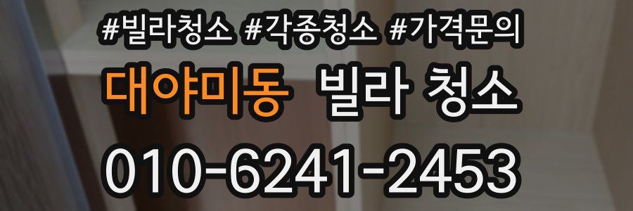 대야미동 빌라 청소