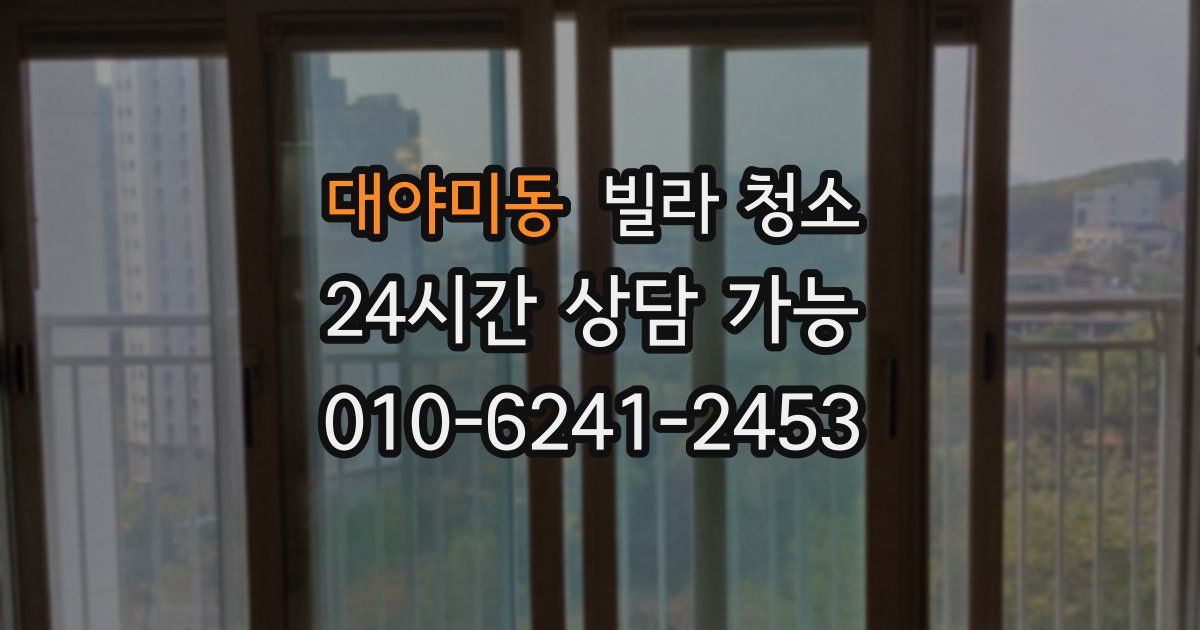 대야미동 빌라 청소