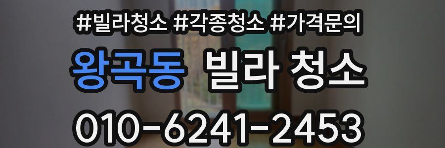 왕곡동 빌라 청소