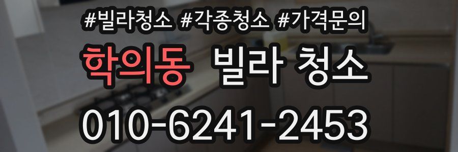 학의동 빌라 청소