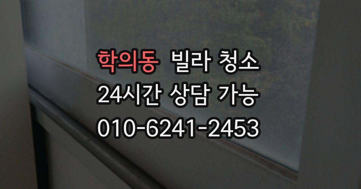 학의동 빌라 청소