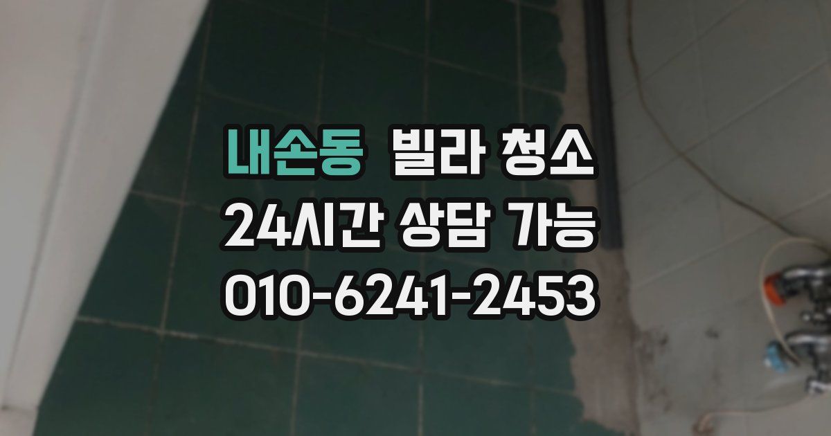 내손동 빌라 청소