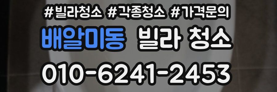 배알미동 빌라 청소