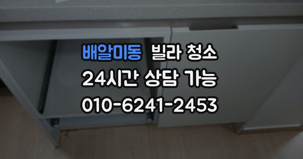 배알미동 빌라 청소