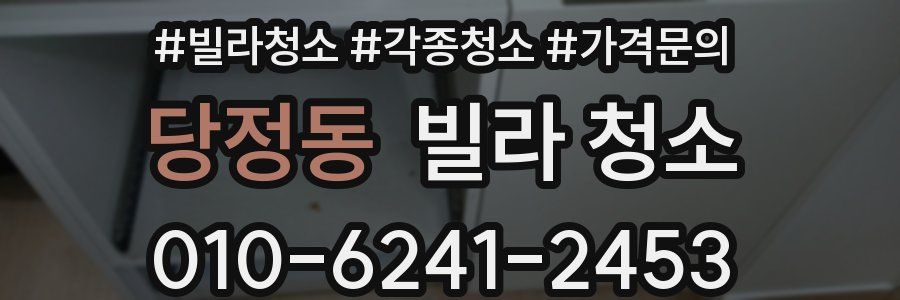 당정동 빌라 청소