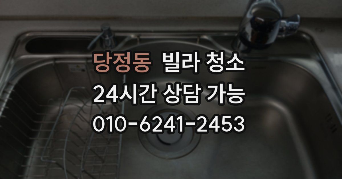 당정동 빌라 청소