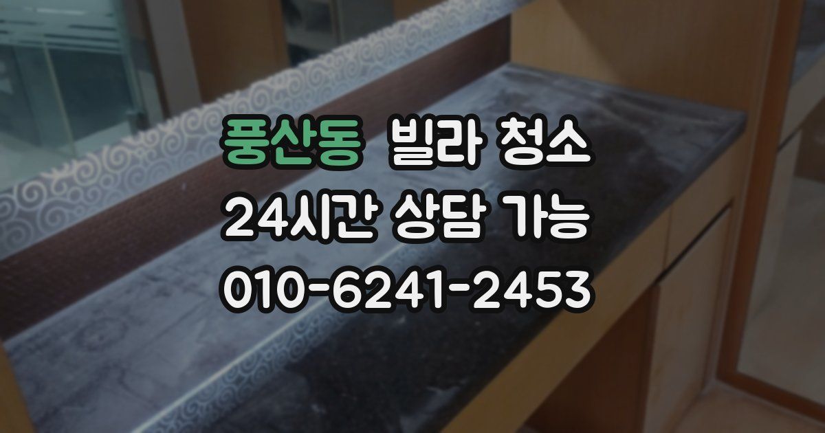 풍산동 빌라 청소