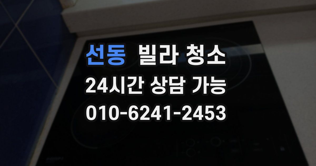 선동 빌라 청소
