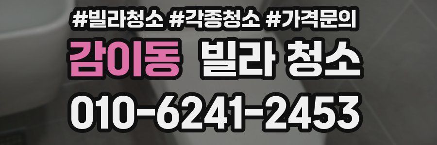 감이동 빌라 청소