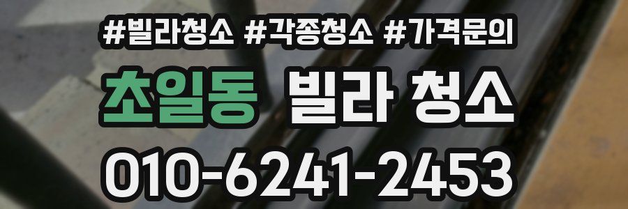 초일동 빌라 청소