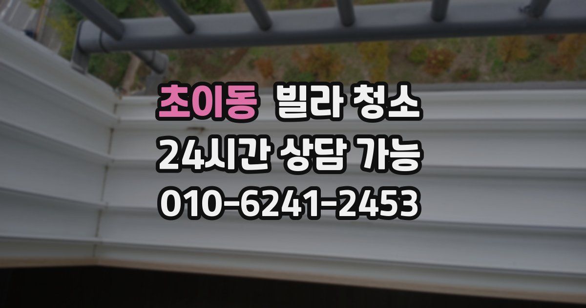 초이동 빌라 청소