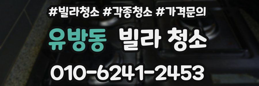 유방동 빌라 청소