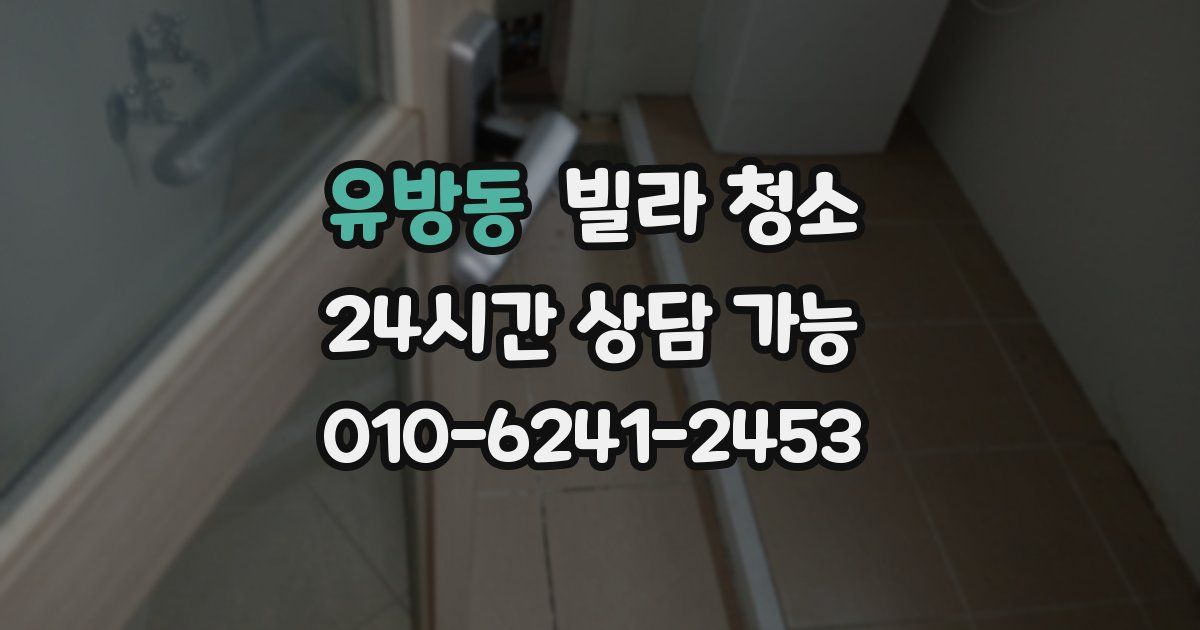 유방동 빌라 청소