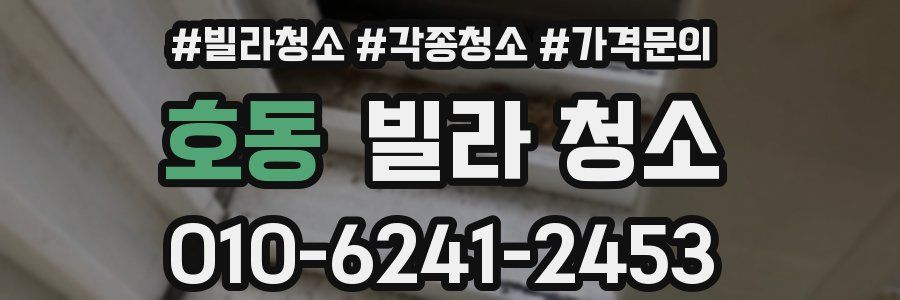 호동 빌라 청소