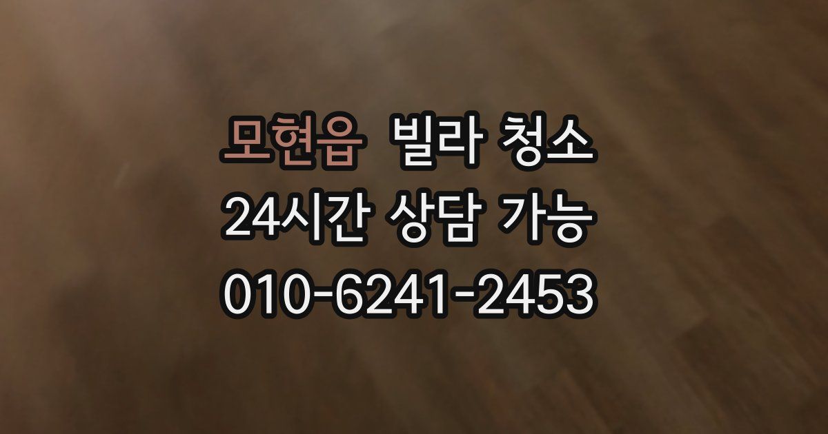 모현읍 빌라 청소