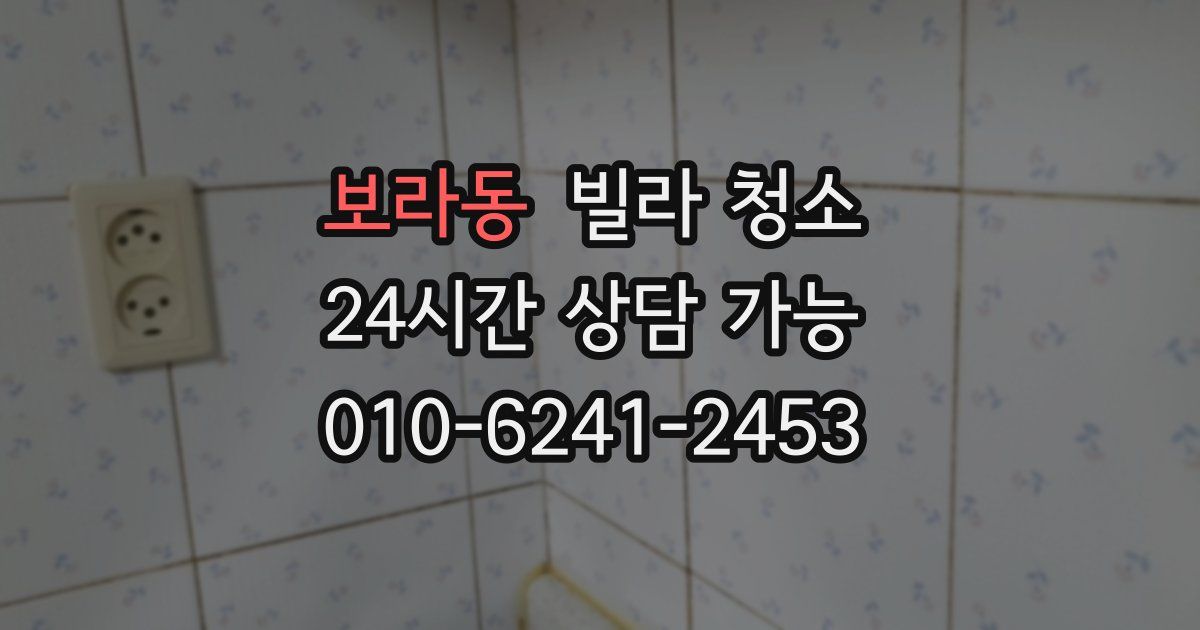 보라동 빌라 청소