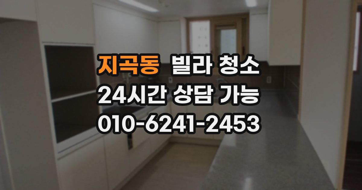 지곡동 빌라 청소