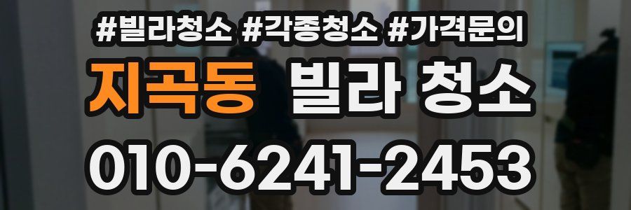 지곡동 빌라 청소