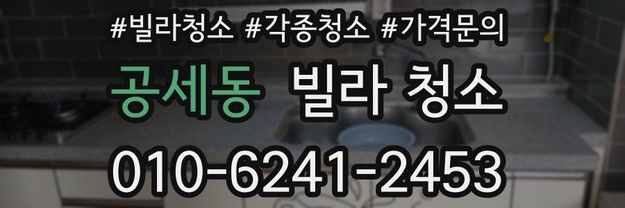 공세동 빌라 청소