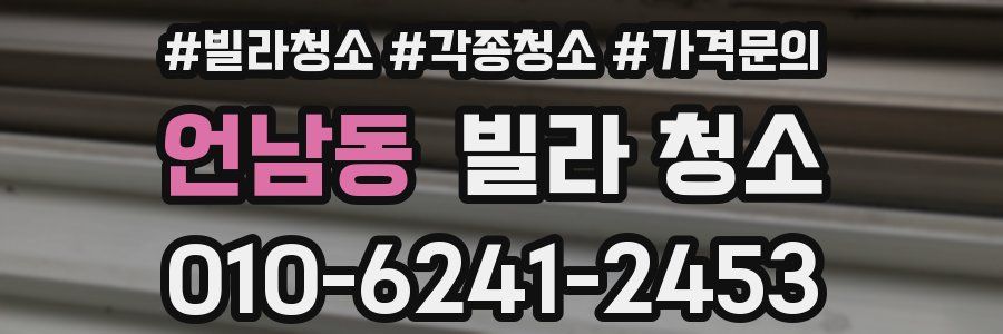 언남동 빌라 청소