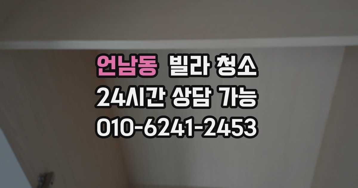 언남동 빌라 청소