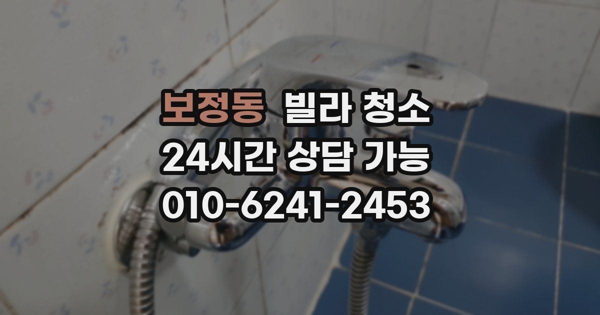 보정동 빌라 청소