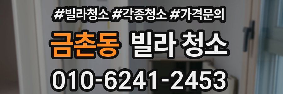 금촌동 빌라 청소