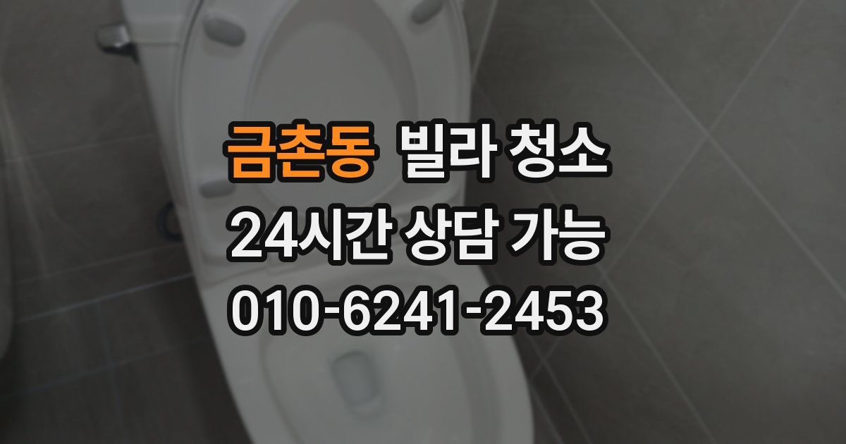 금촌동 빌라 청소