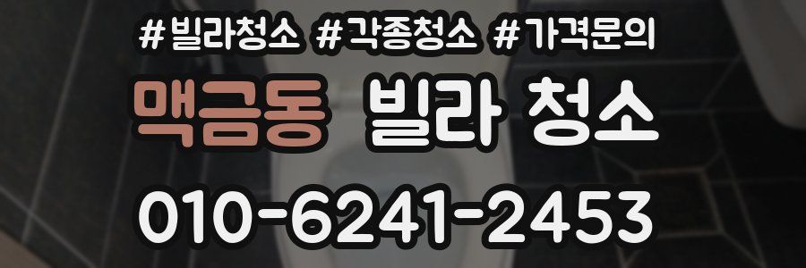 맥금동 빌라 청소