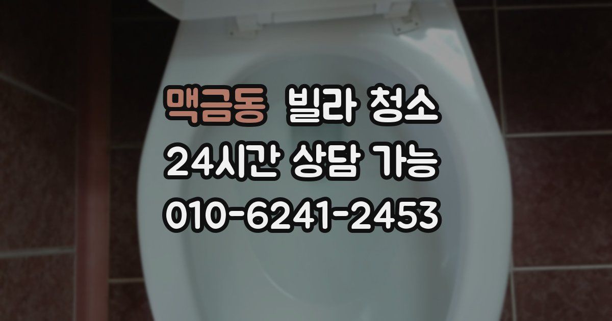 맥금동 빌라 청소