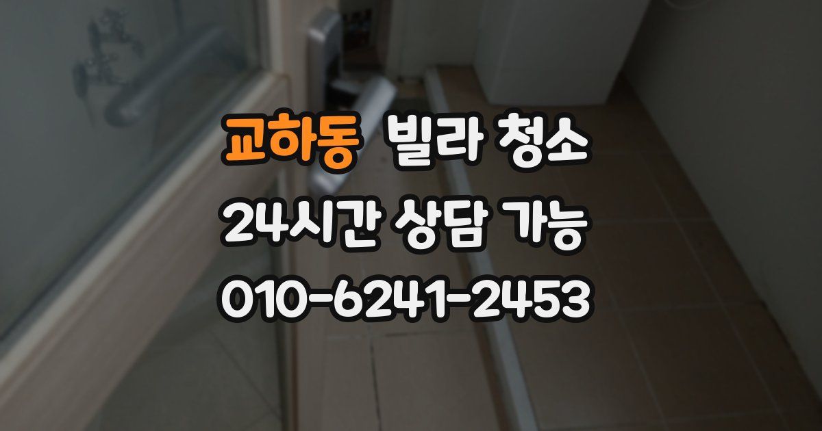 교하동 빌라 청소