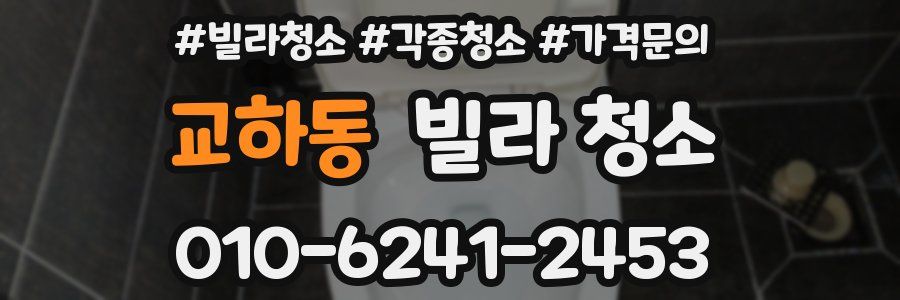 교하동 빌라 청소