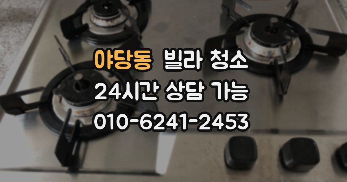 야당동 빌라 청소