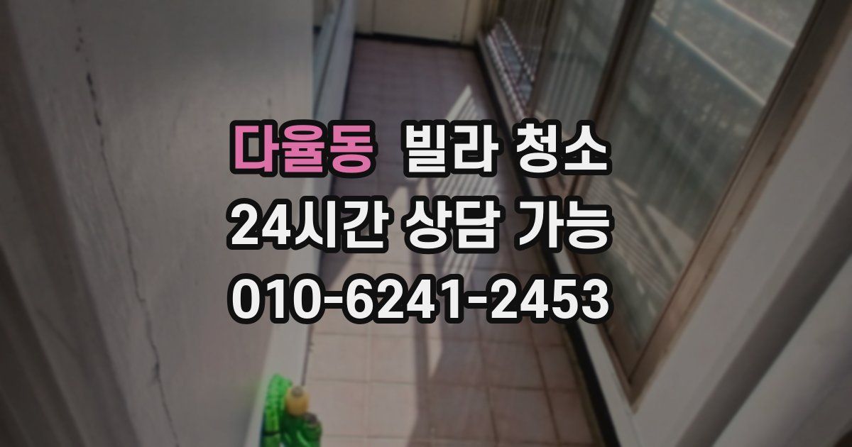 다율동 빌라 청소