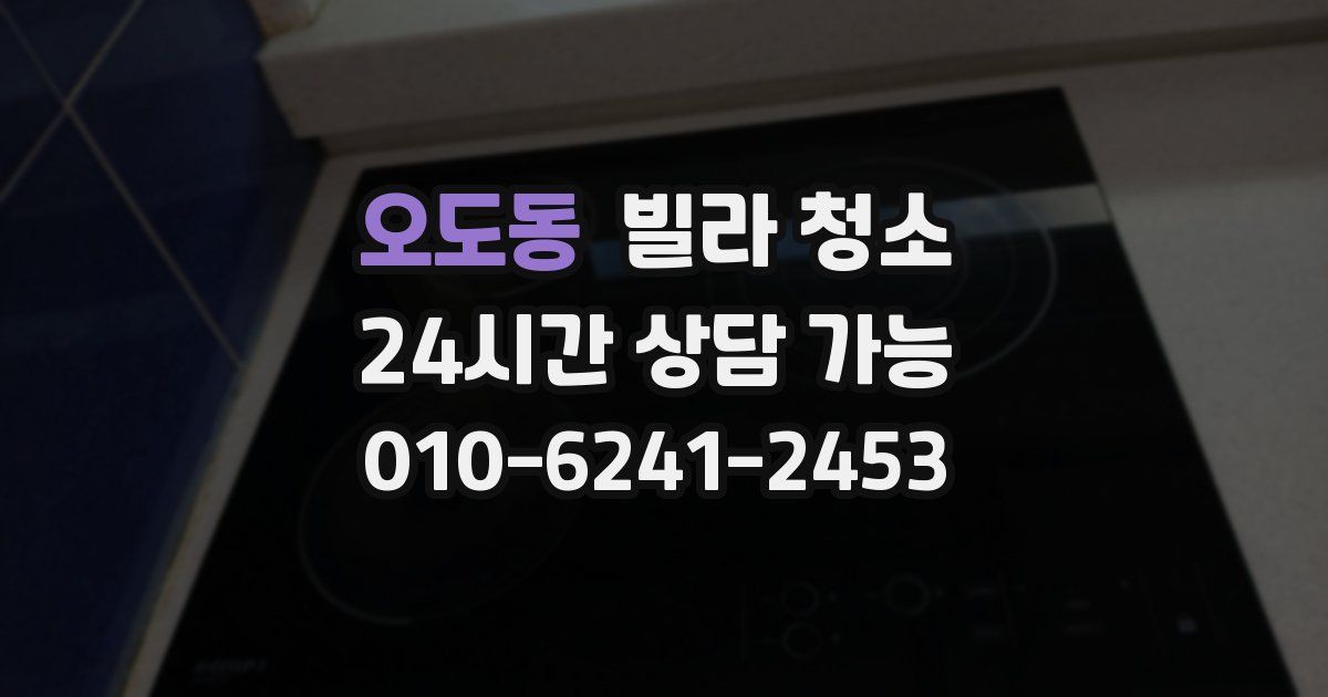 오도동 빌라 청소