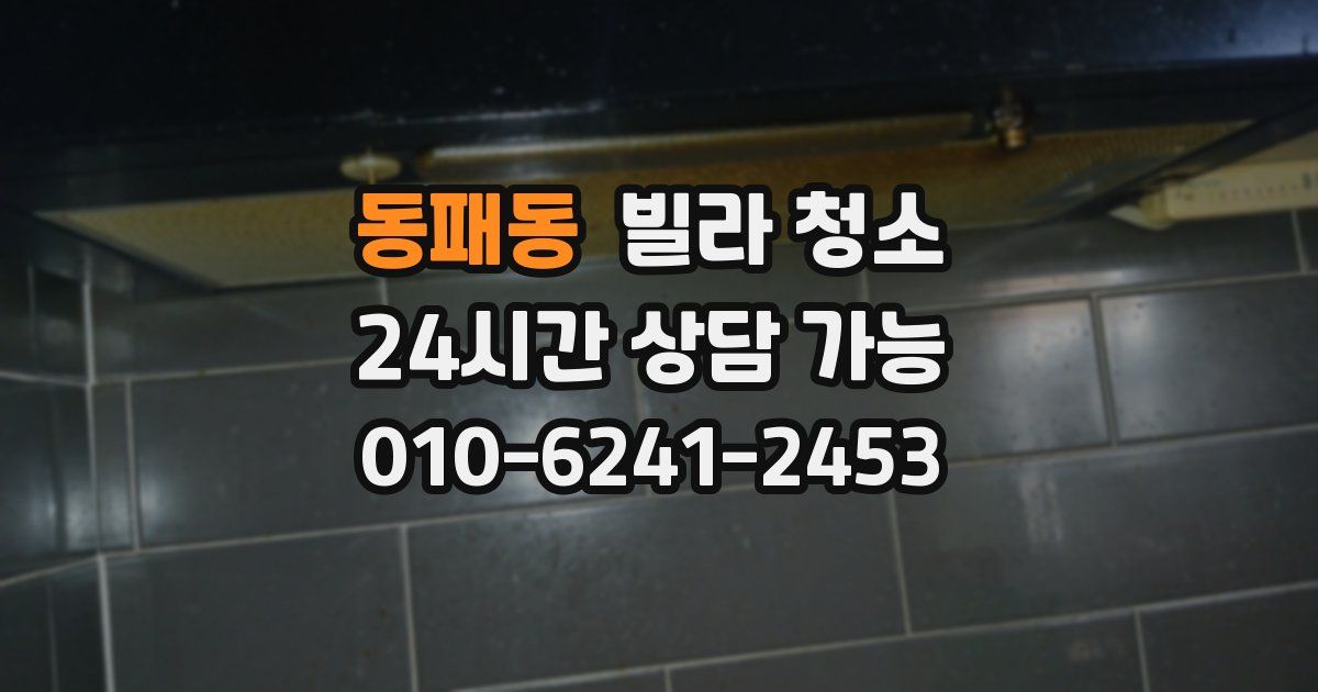 동패동 빌라 청소