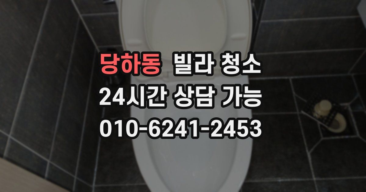 당하동 빌라 청소