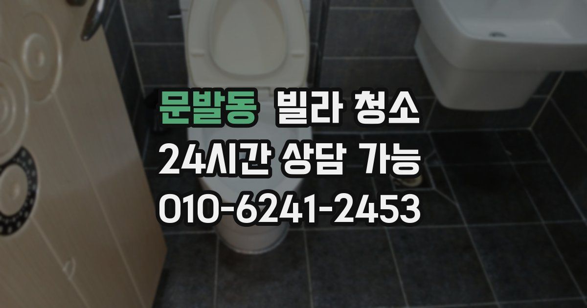문발동 빌라 청소