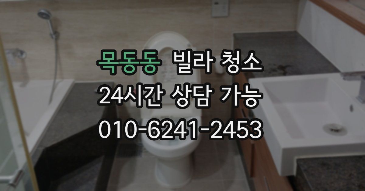 목동동 빌라 청소