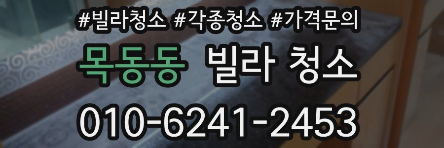 목동동 빌라 청소