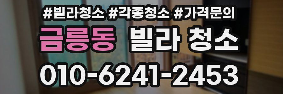 금릉동 빌라 청소