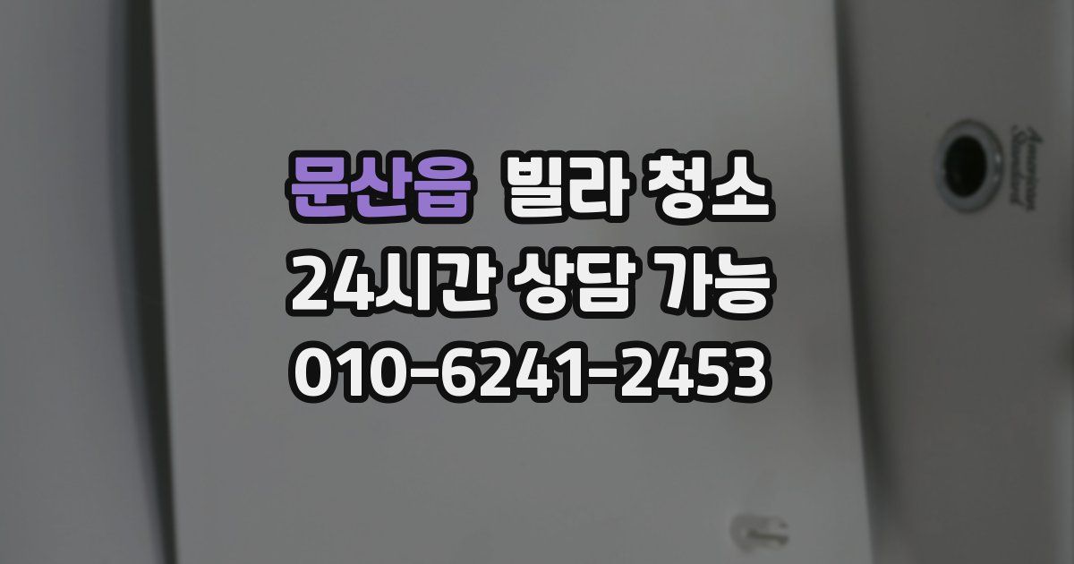 문산읍 빌라 청소