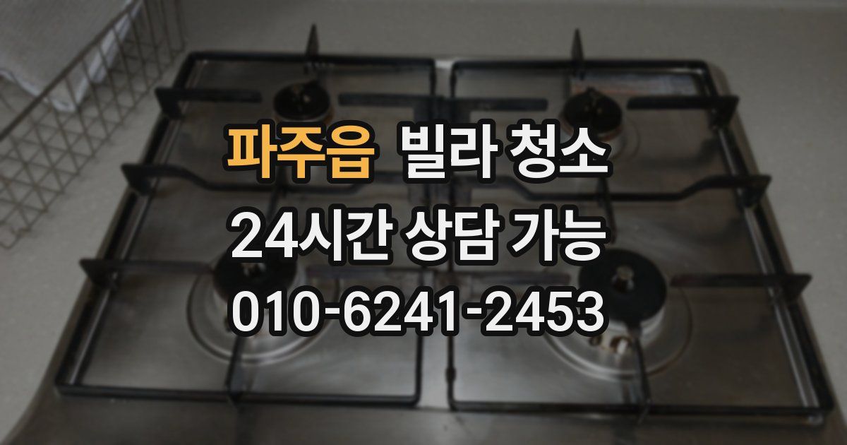 파주읍 빌라 청소