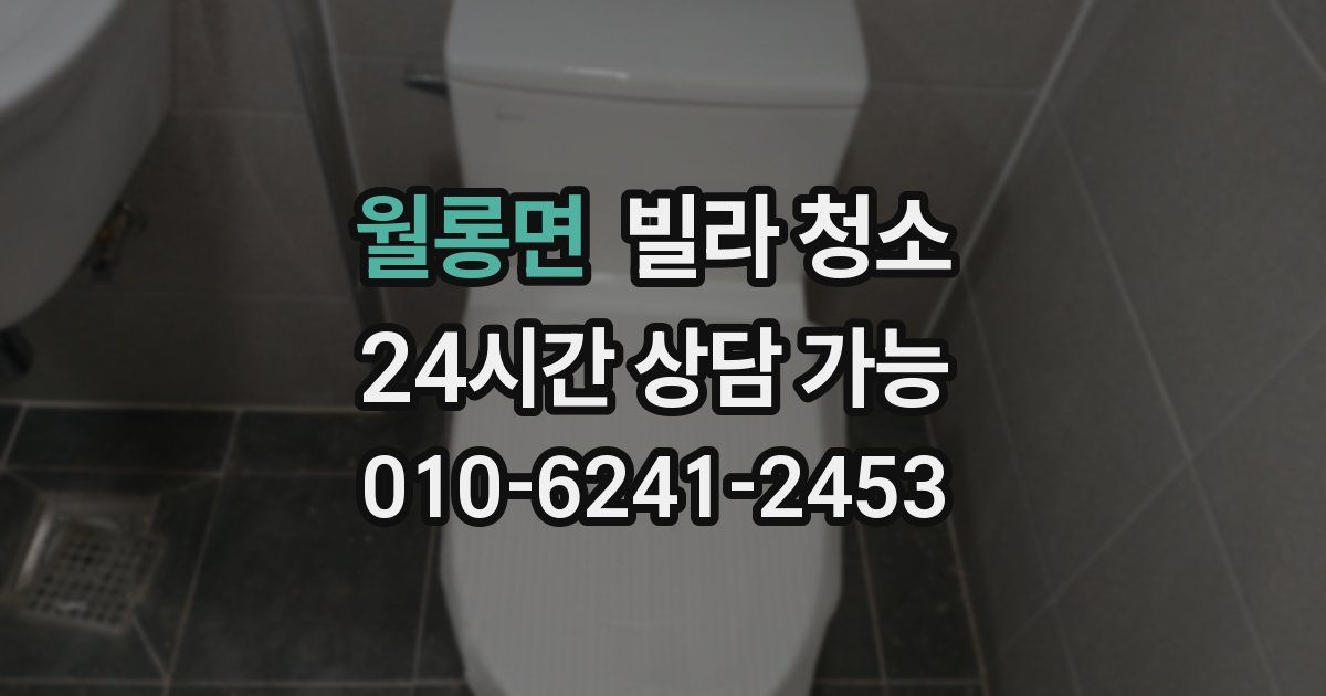 월롱면 빌라 청소